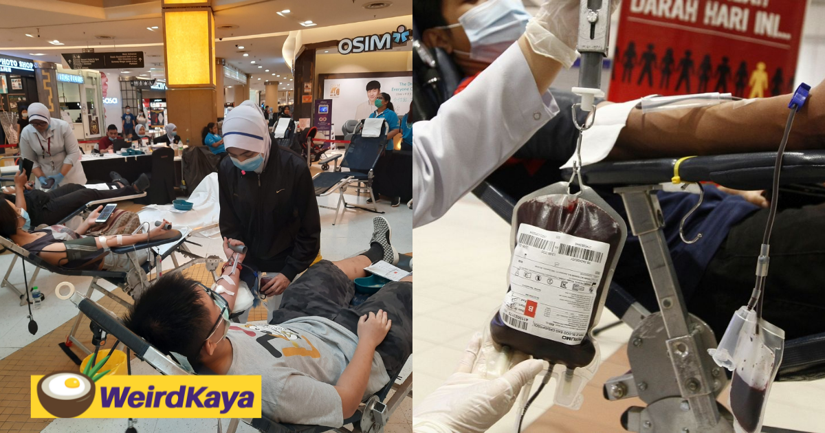 5 fun blood donation facts we bet you didn't know about! | weirdkaya
