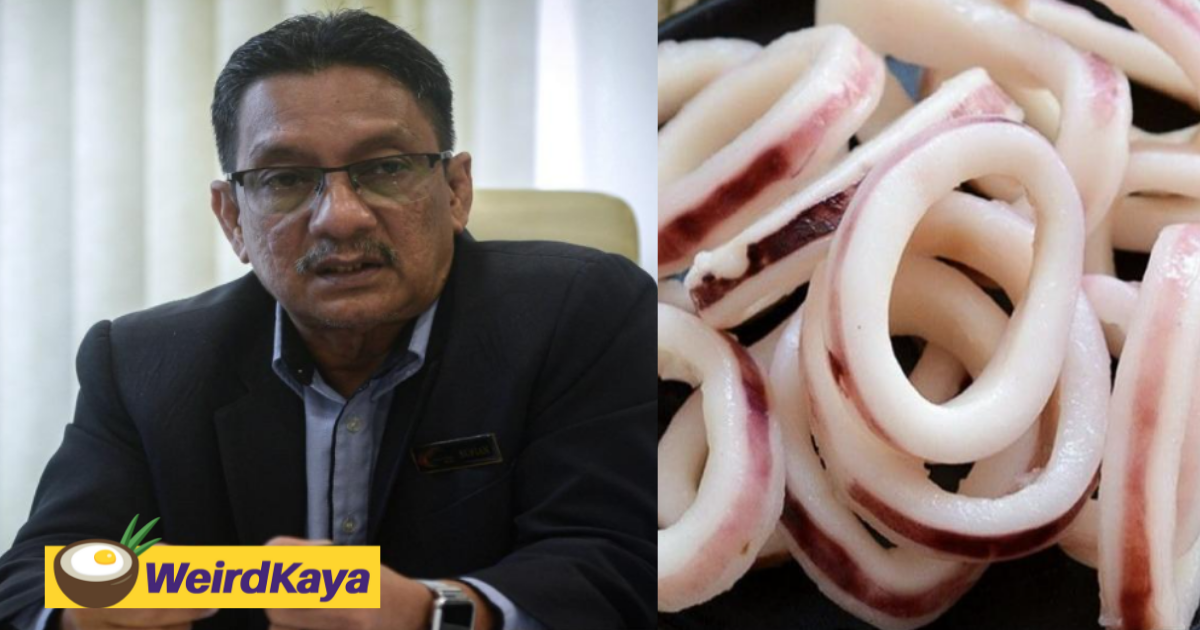 Fishery department confirms frozen squid rings do not contain pig dna | weirdkaya