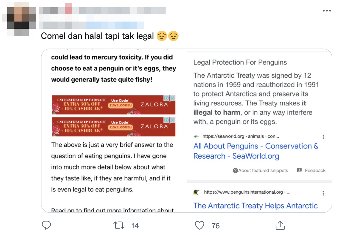 'penguins, while cute, are halal to eat', says former religious affairs minister zulkifli al-bakri | weirdkaya
