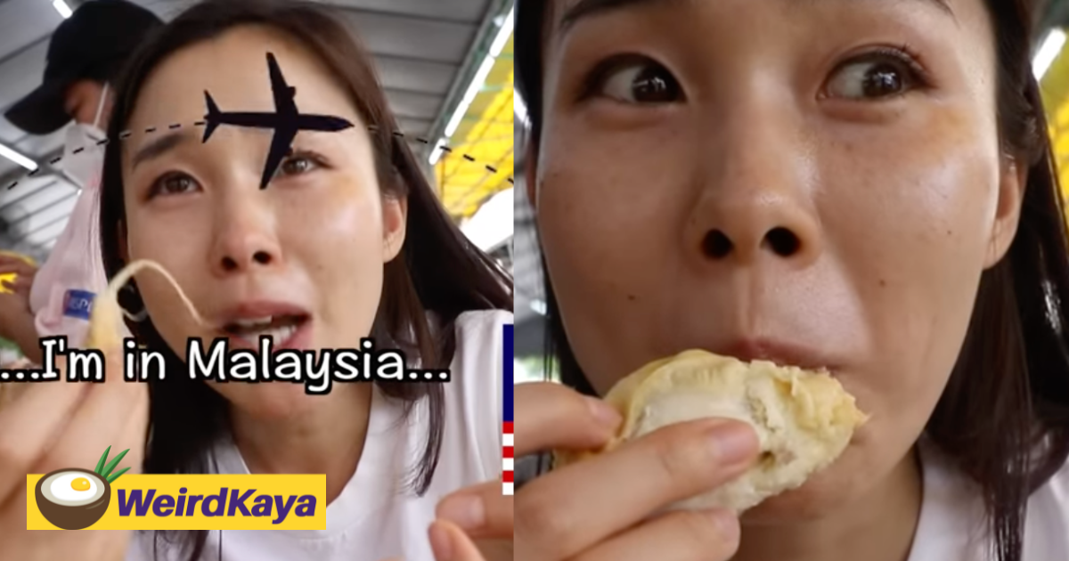 [video] japanese youtuber ichang rm cries upon 