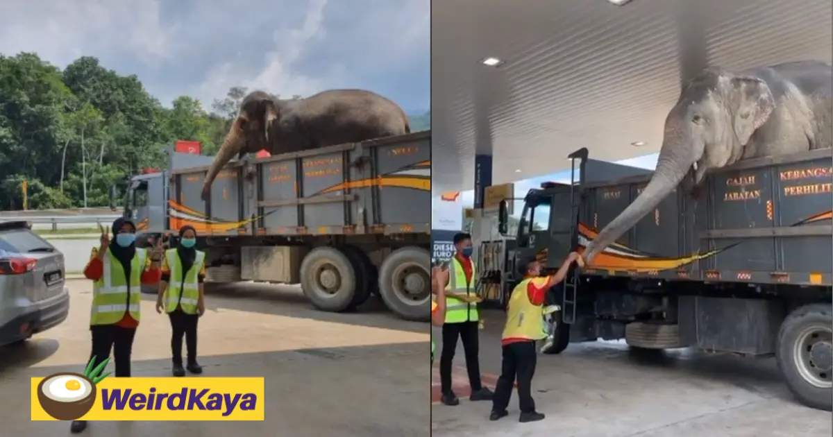 [photos] see how singaporeans are pumping petrol in creative and weird ways as the my-sg border reopens | weirdkaya